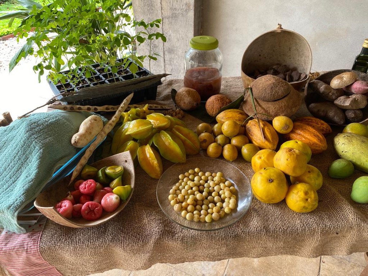 COP 30 prioriza alimentos da agricultura familiar e agroecológica, injetando R$ 3,3 milhões no Pará