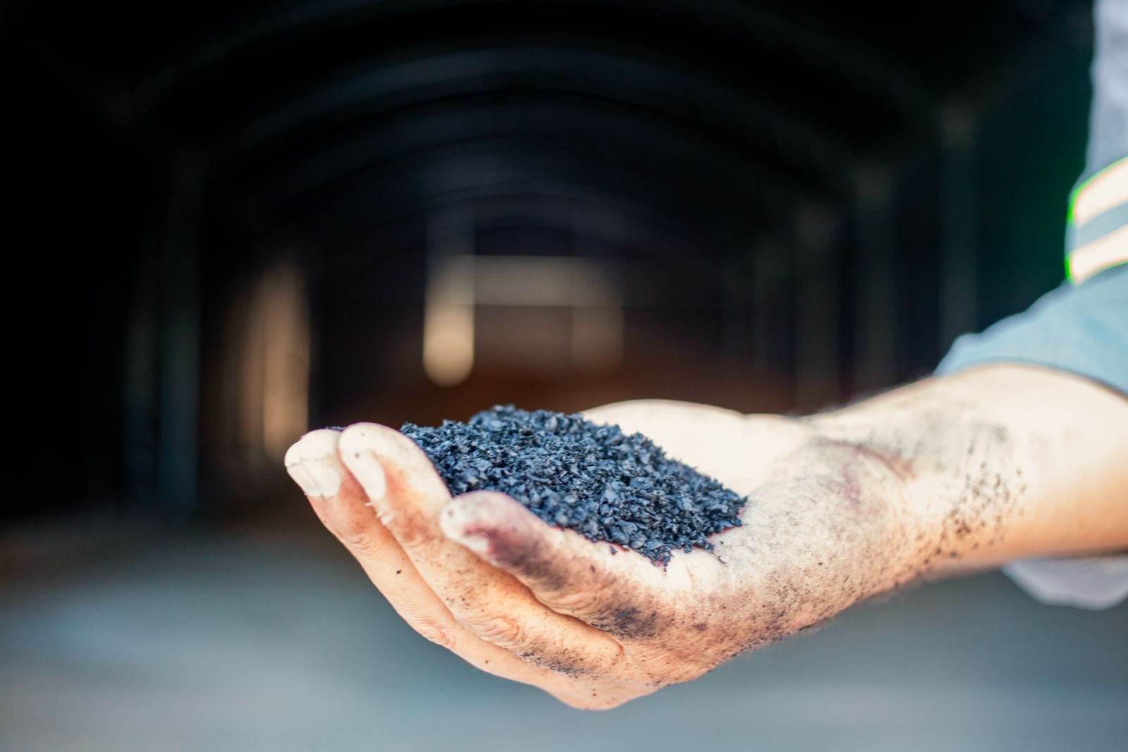 Biocarvão se destaca como solução climática, mas enfrenta desafios para produção em larga escala