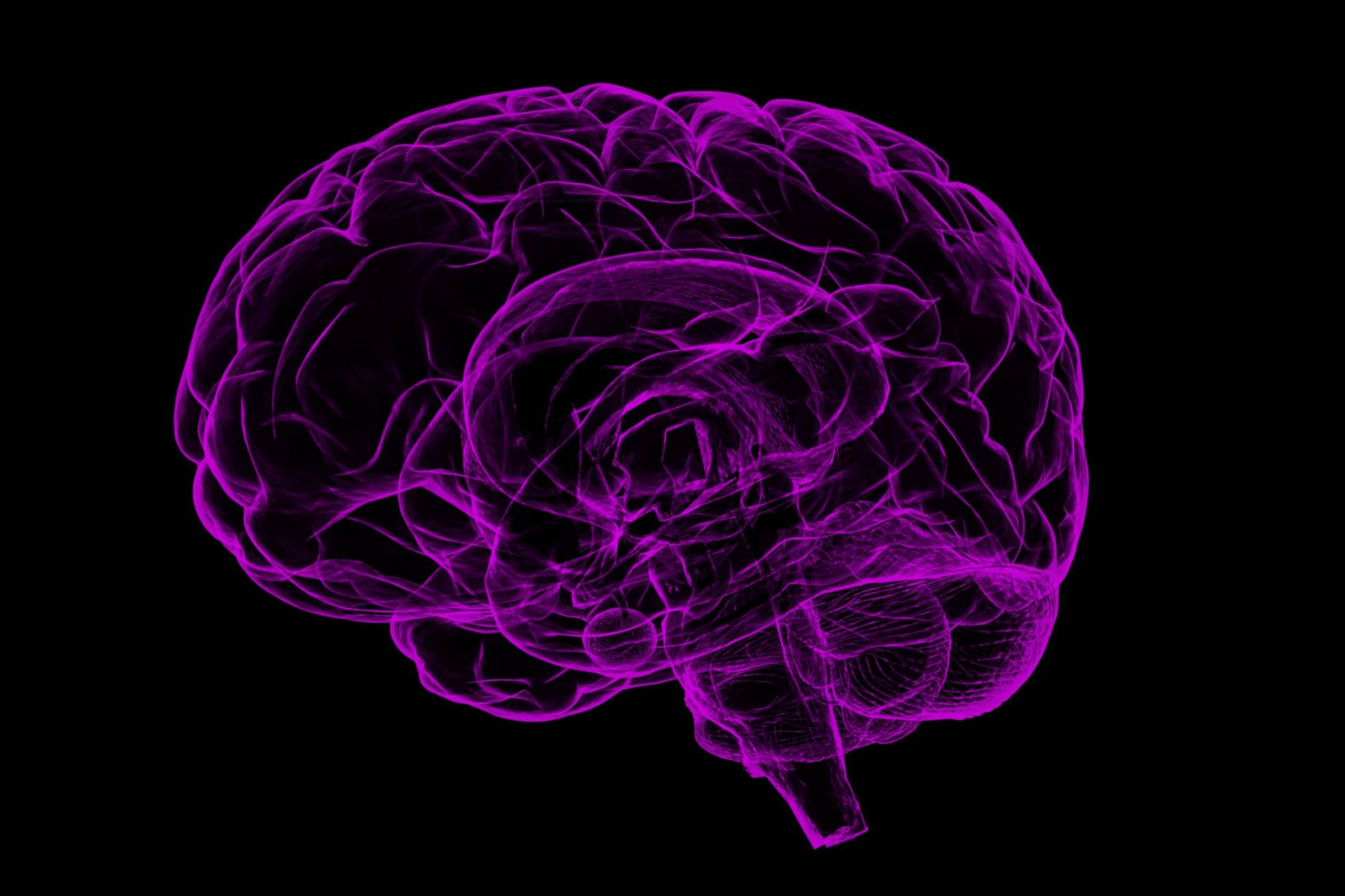 Cientistas descobrem papel crucial do receptor GluD1 no tratamento da dor neuropática crônica