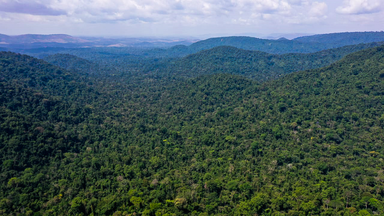 Amazônia em risco: estudo revela que áreas prioritárias para biodiversidade têm gestão precária