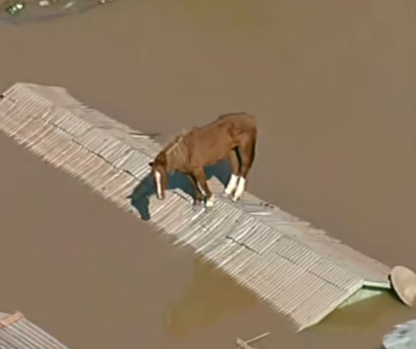 MPF investiga obras federais paralisadas no Rio Grande do Sul após chuvas devastadoras em 2024