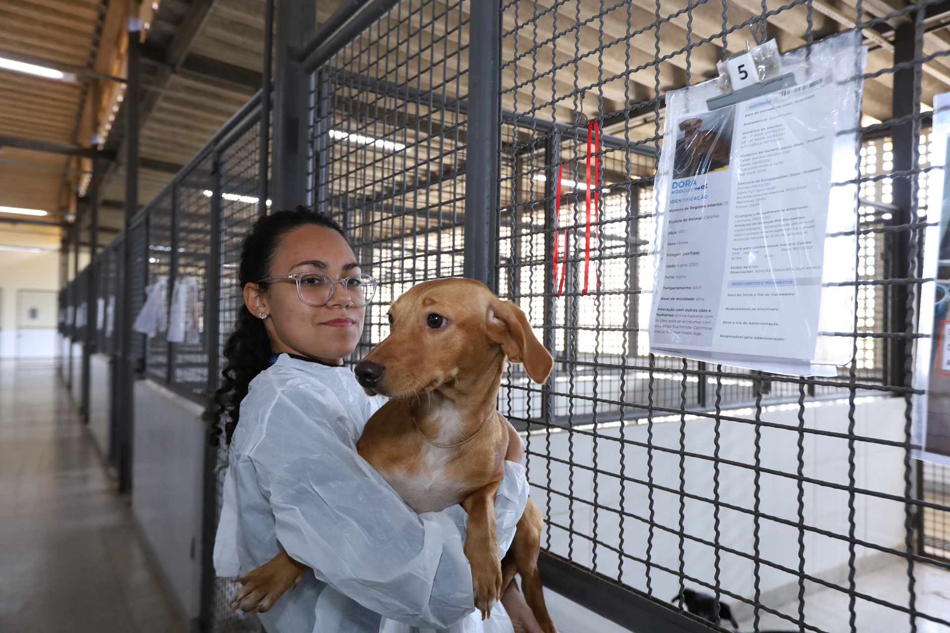 "Julho dourado destaca a importância da Vigilância Ambiental na prevenção de zoonoses no Distrito Federal"