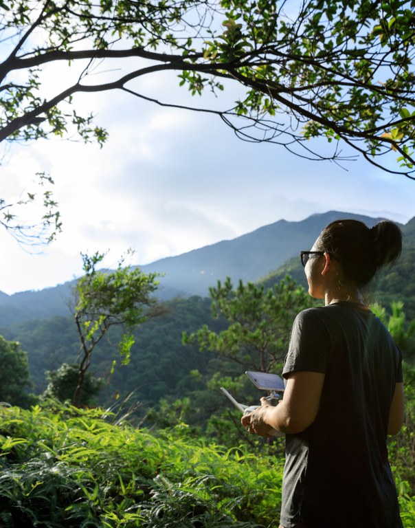 Ibama atualiza cadastro de profissionais de biologia e biotecnologia para fortalecer a defesa ambiental
