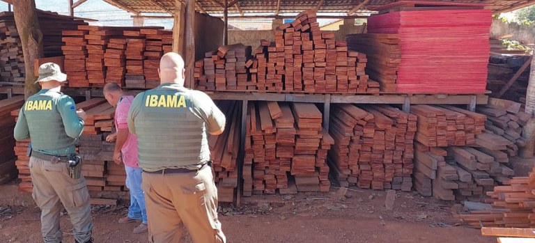 Ibama realiza Operação Metaverso e autua 64 empresas por irregularidades no comércio de madeira em Minas Gerais
