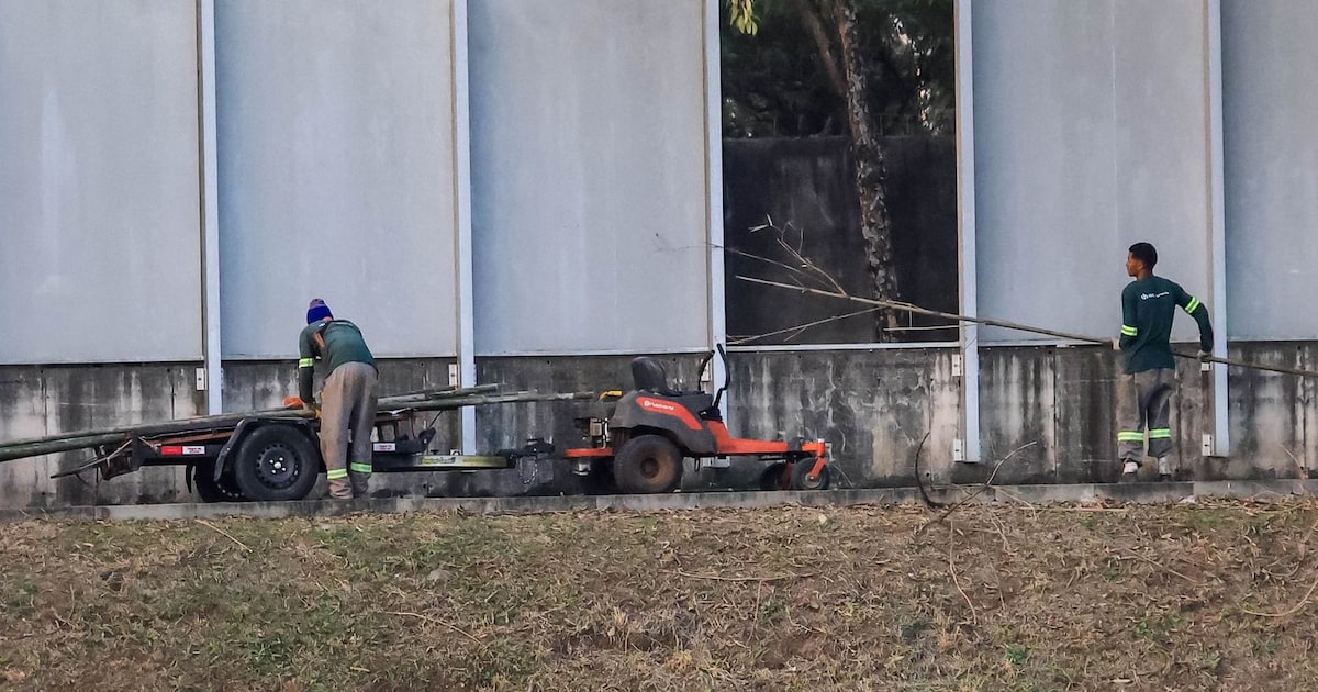 USP inicia demolição do muro de alvenaria para criar corredor verde e melhorar paisagismo na Marginal Pinheiros