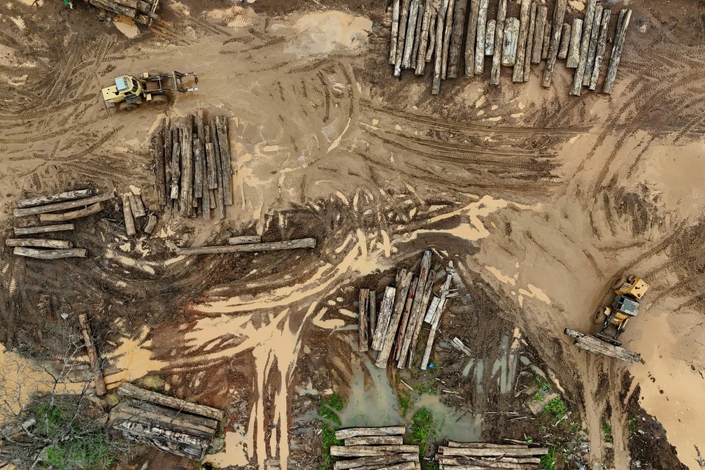 Empresas de carbono na Amazônia beneficiam infratores de desmatamento, revela investigação da Reuters