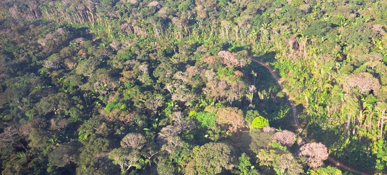 Ibama intensifica fiscalização na BR-319 e combate desmatamento ilegal em Tapauá, no Amazonas