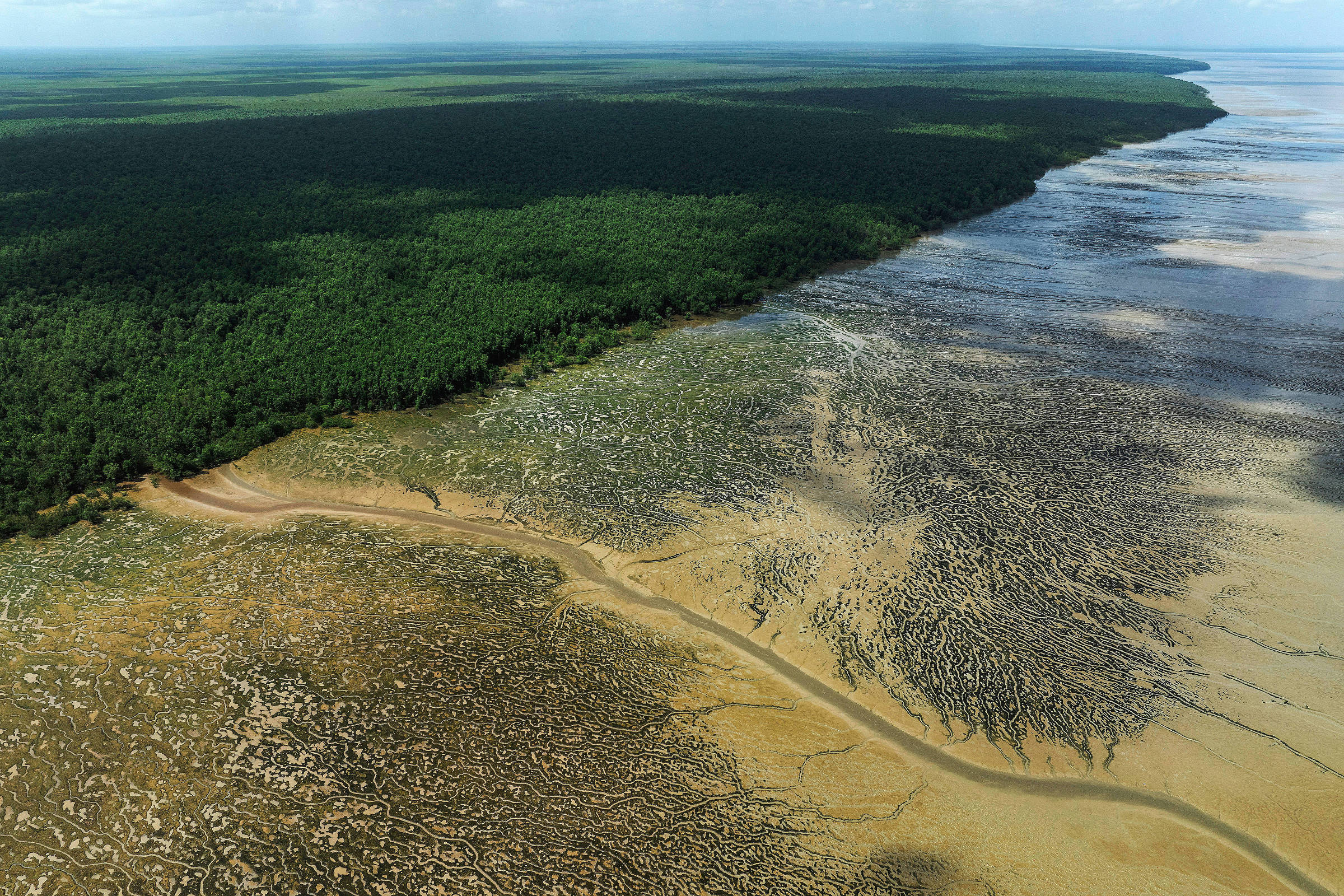 Justiça Federal autoriza simulado de perfuração de poço da Petrobras na Foz do Amazonas, apesar de protestos ambientais
