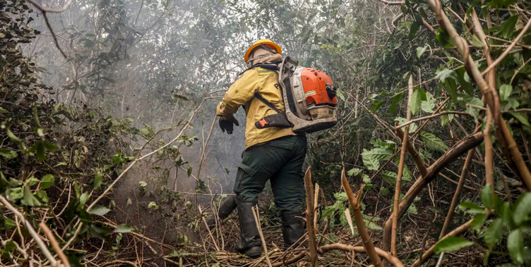 Governo federal intensifica ações para reduzir incêndios florestais e investe R$ 405 milhões na Amazônia