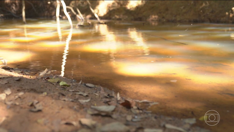 Desastre em lixão de Goiás contamina rios e revela riscos de depósitos irregulares em todo o Brasil