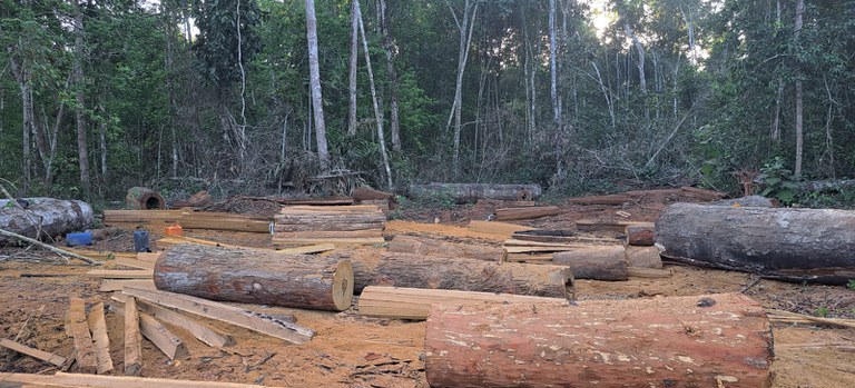 Ibama intensifica ações contra crimes ambientais em terras indígenas da Amazônia Legal