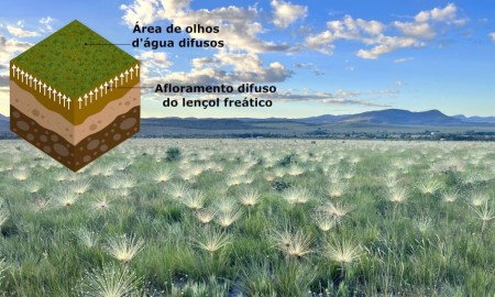 Olhos d’água difusos são negligenciados em políticas de proteção hídrica no Cerrado, alertam pesquisadores