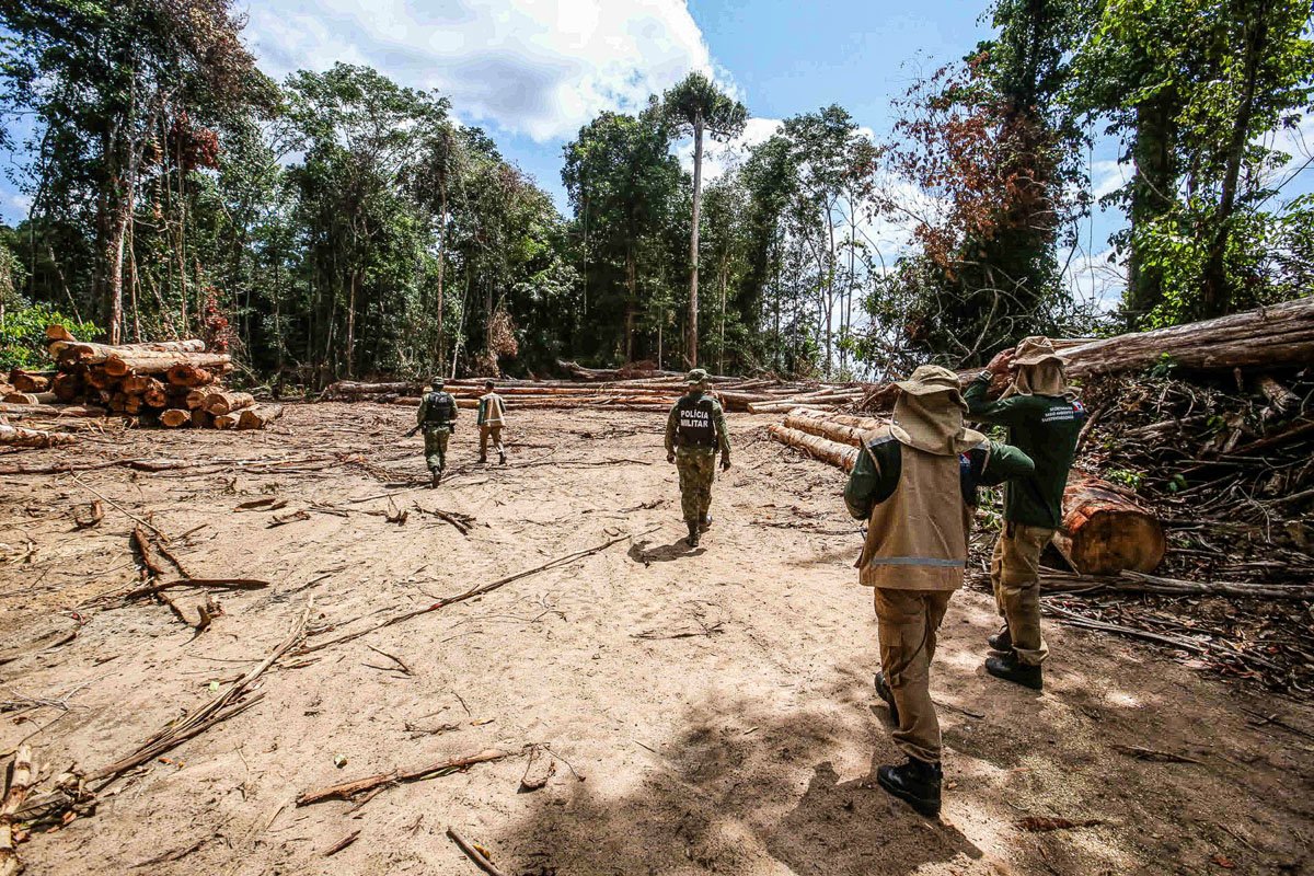 Falhas graves no mercado de carbono da Amazônia expõem irregularidades em projetos de conservação florestal