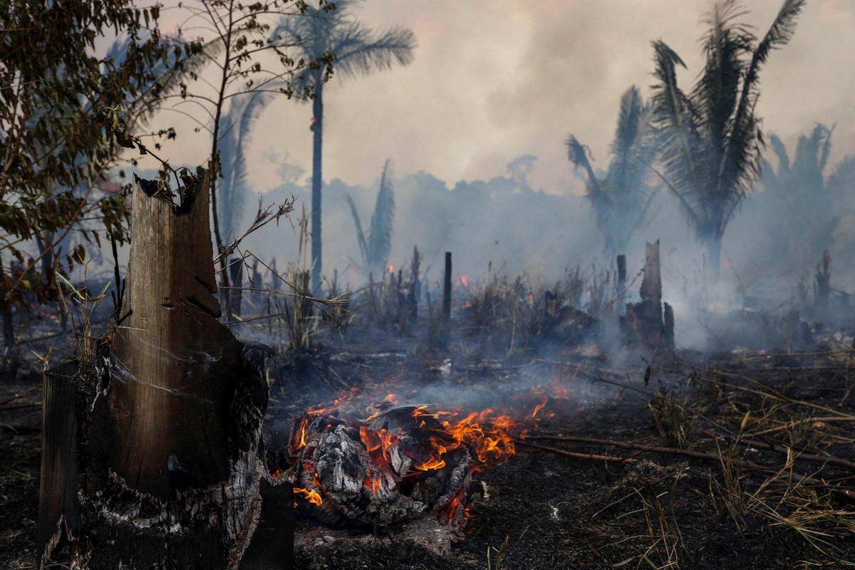 Desmatamento na Amazônia cresce 27% no primeiro semestre de 2025, enquanto Cerrado registra queda de 9,8%