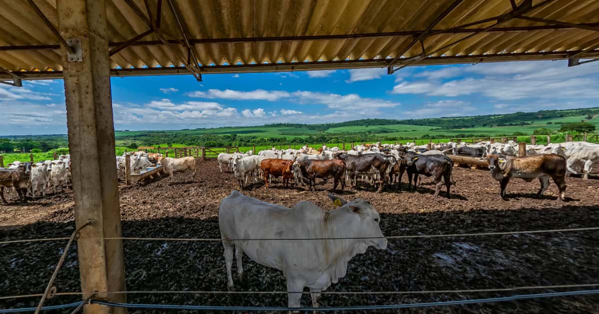 Inscrições abertas para curso técnico gratuito em agropecuária com 29 vagas na ETASA até preenchimento