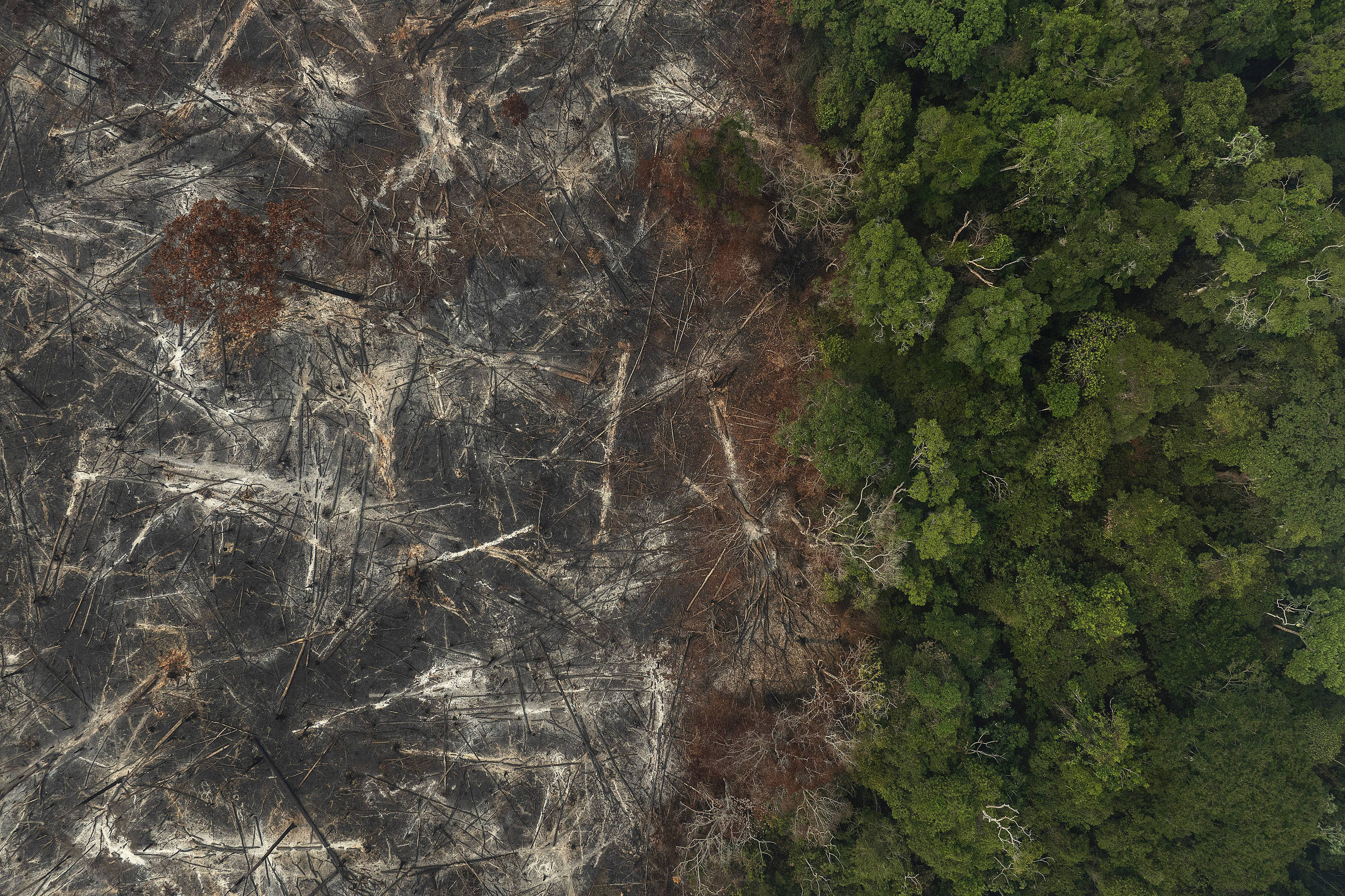 Projeto de lei do licenciamento ambiental é criticado por fragilizar regras e aumentar riscos ambientais