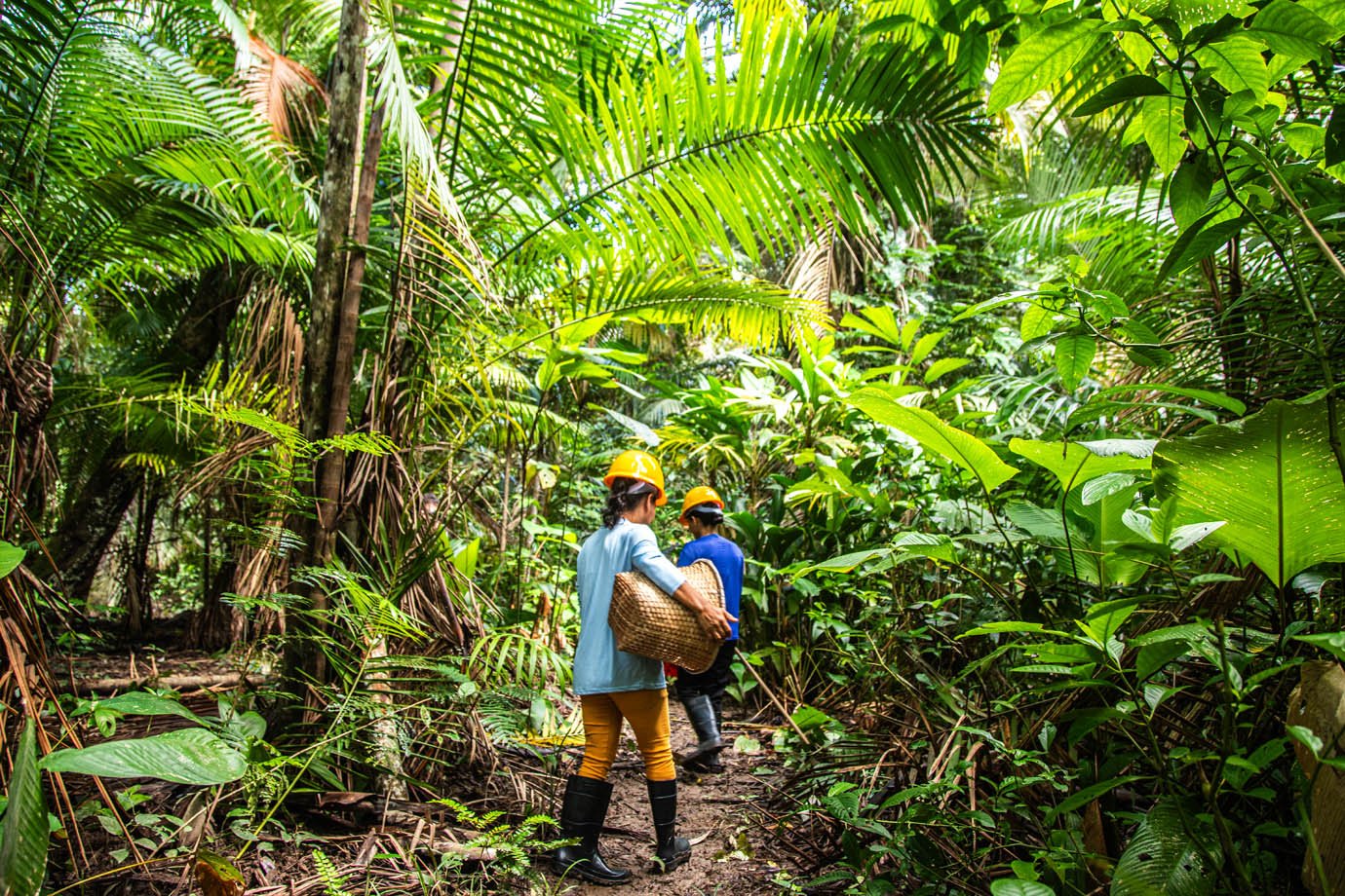 Pará se destaca na Amazônia com 59% dos investimentos sociais em projetos de impacto positivo em 2023