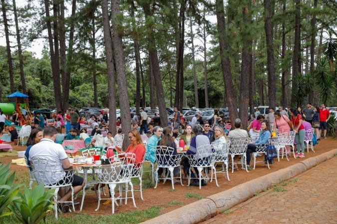 Jardim Botânico de Brasília inicia substituição de pinheiros por árvores nativas do Cerrado para preservar o bioma