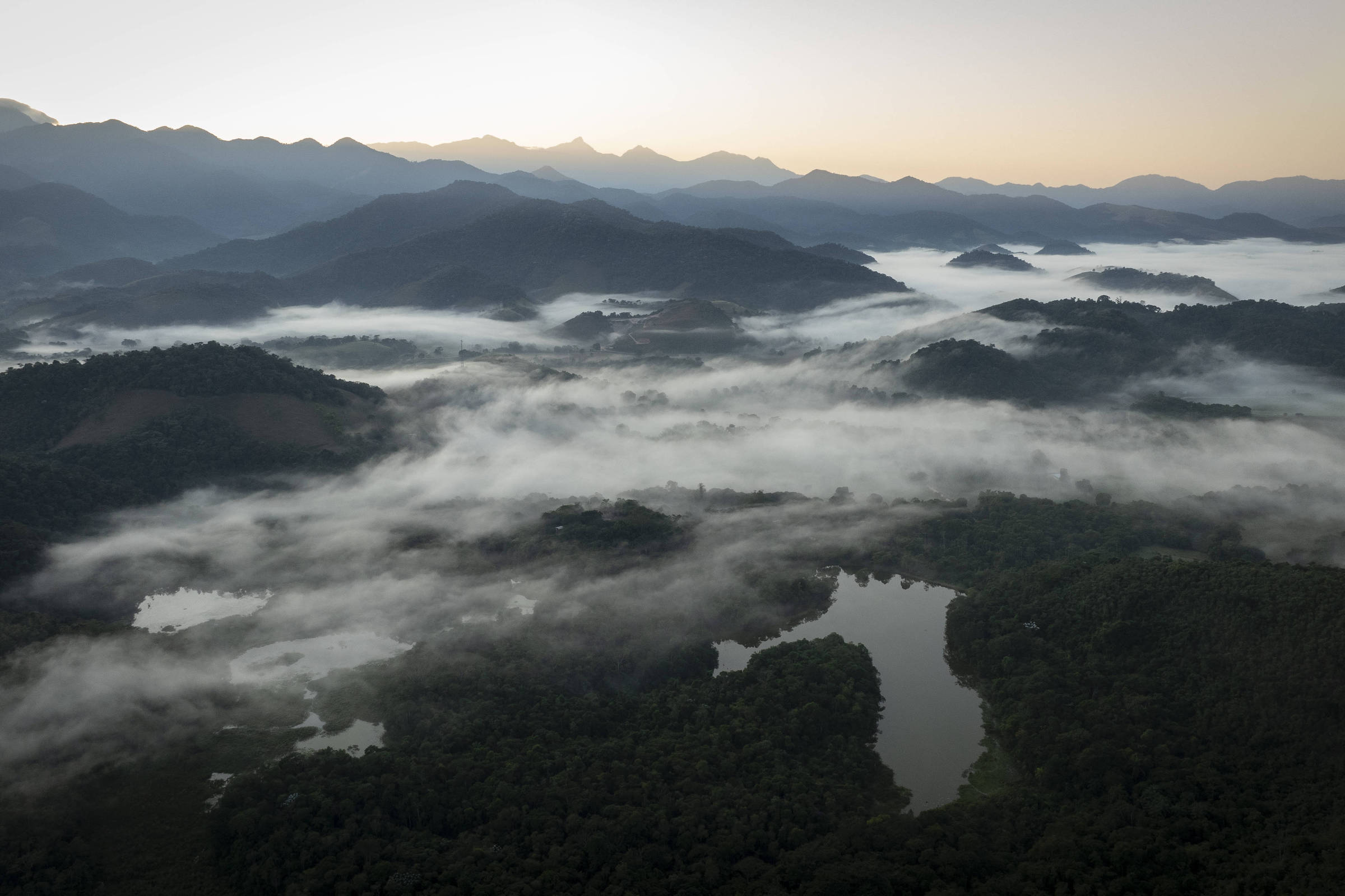 Empresários e ambientalistas se mobilizam contra projeto que ameaça proteção da mata atlântica