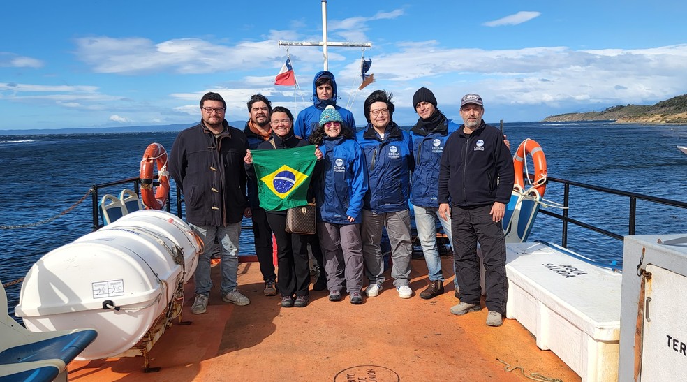Baleias-jubarte migram para o Brasil em busca de reprodução e enfrentam desafios na Antártica