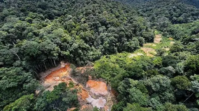 Amazônia enfrenta risco crescente de surtos de doenças infecciosas devido à degradação ambiental e ao desmatamento
