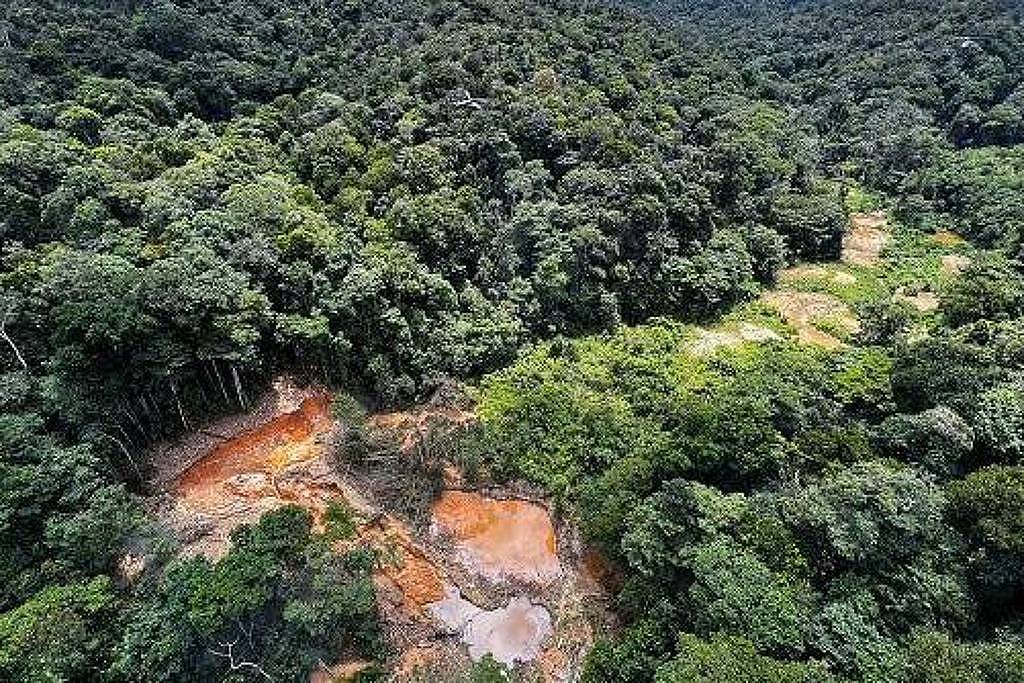 Amazônia enfrenta risco crescente de epidemias devido à degradação ambiental e ao aumento do contato humano com patógenos