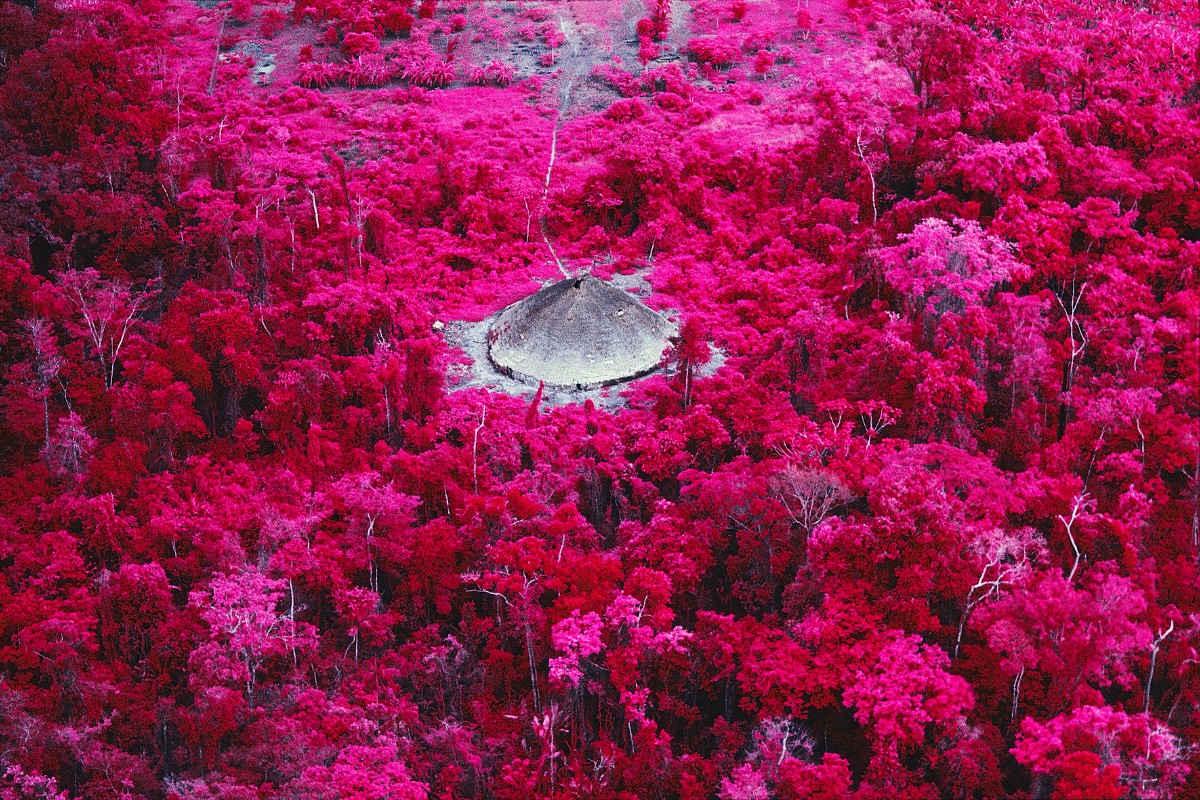 Claudia Andujar é homenageada em exposição que destaca sua conexão com ciência e natureza no Museu do Amanhã