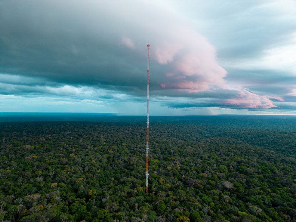 Poeira do deserto do Saara chega à Amazônia e impacta fertilidade do solo e formação de nuvens