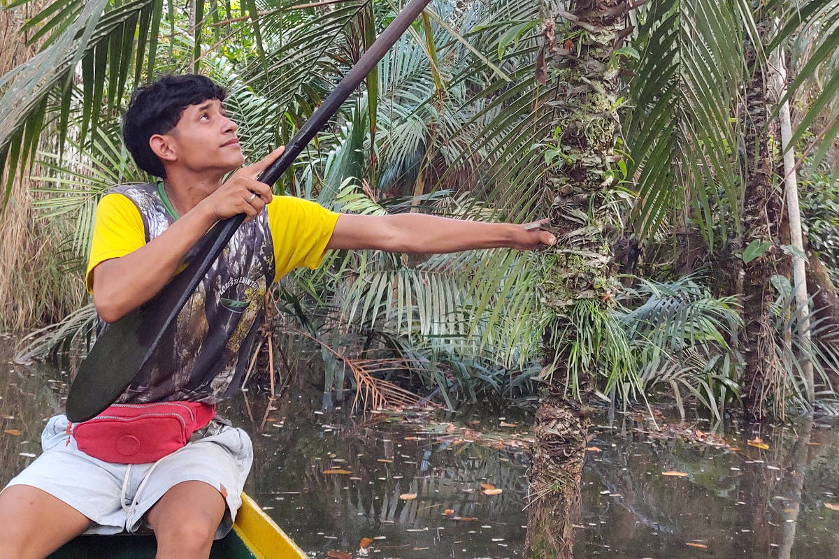 Alter do Chão se prepara para receber turistas com novas comunidades ribeirinhas e experiências culturais únicas