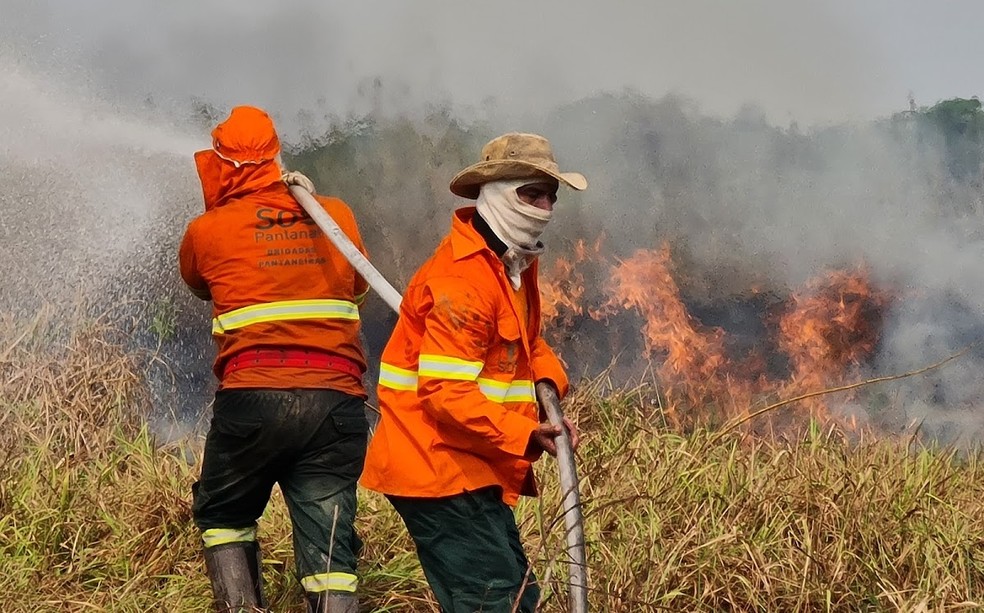 Governo libera R$ 150 milhões do Fundo Amazônia para combate a queimadas no Cerrado e Pantanal