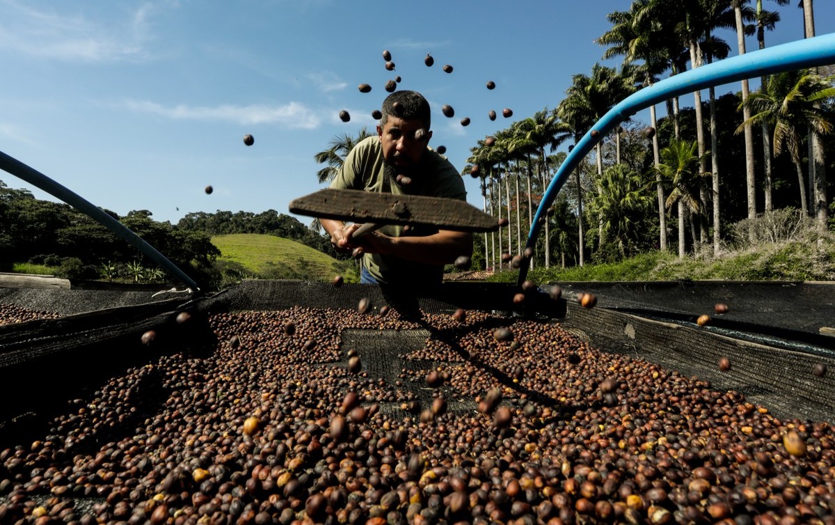 Vale do Café renasce com produção de cafés especiais e atração turística em ascensão