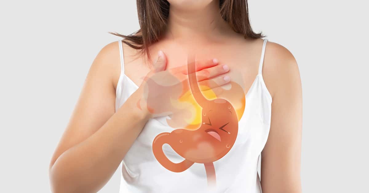 Chás naturais com comprovação científica ajudam a aliviar os sintomas do refluxo gastroesofágico