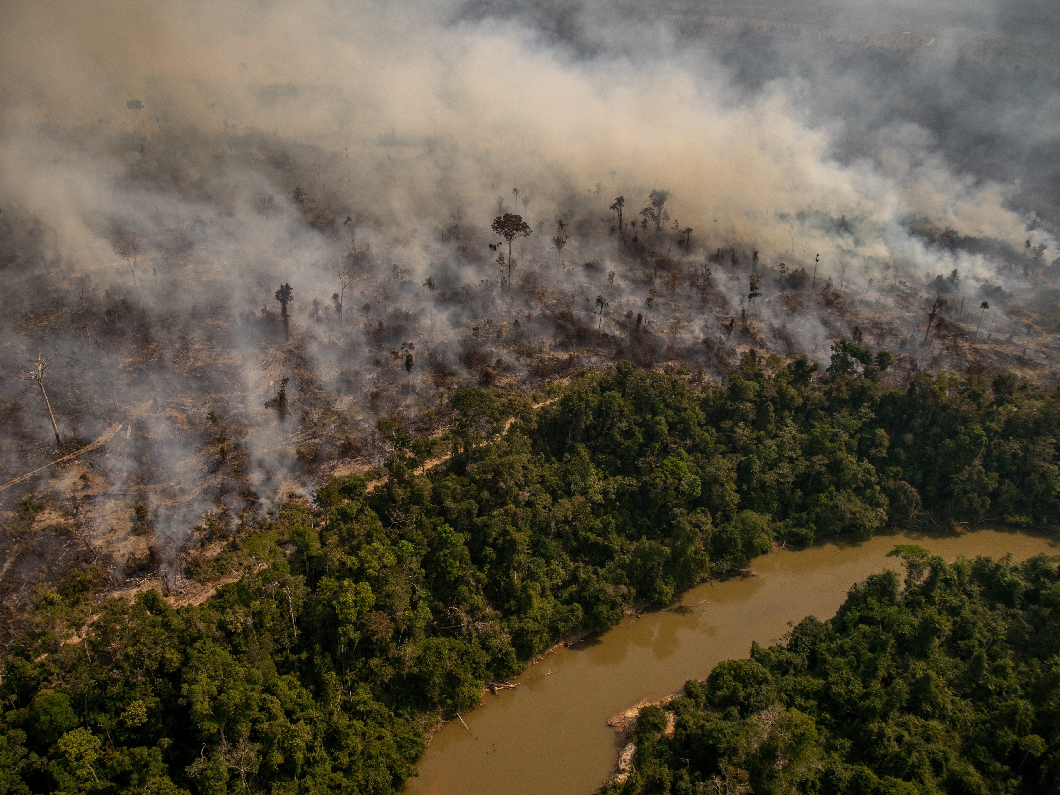 Amazônia enfrenta incêndios crescentes e desmatamento alarmante, alerta bióloga Erika Berenguer