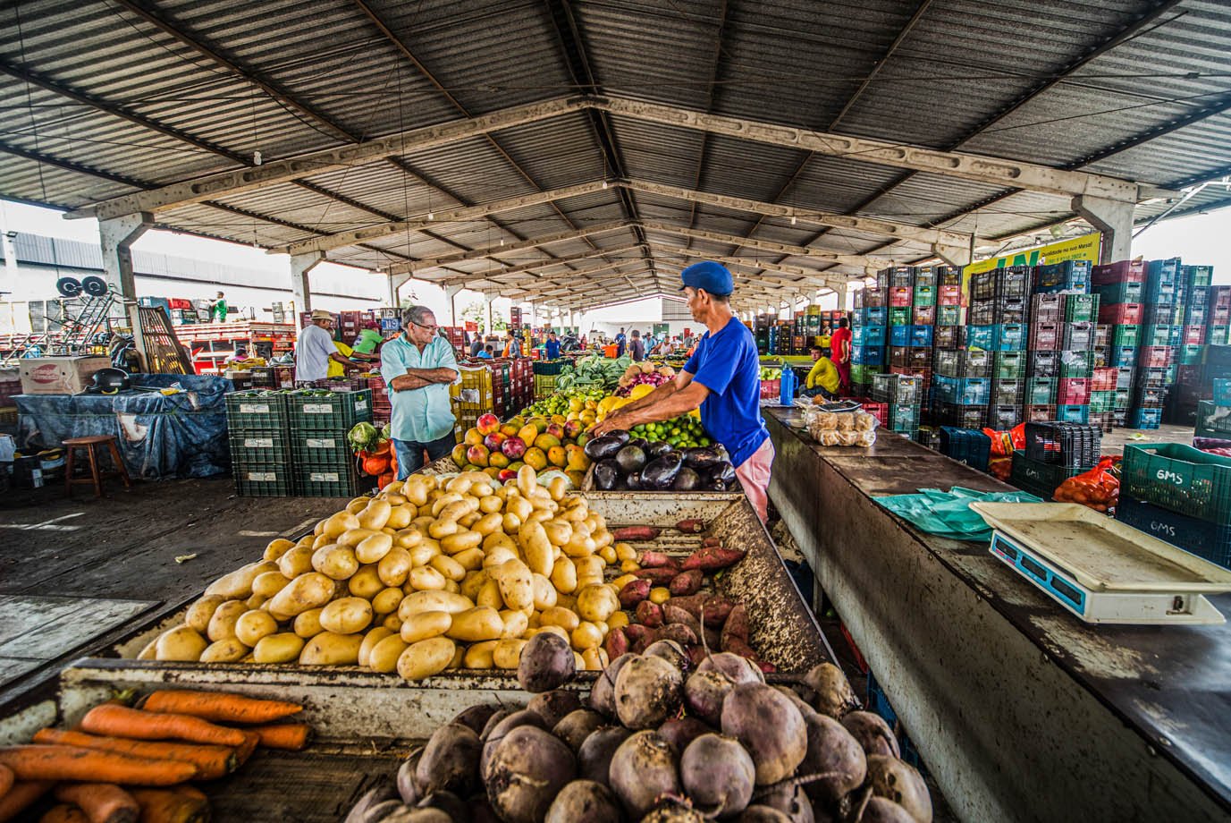 Mudanças climáticas elevam preços de alimentos a níveis históricos e impactam o bolso do consumidor