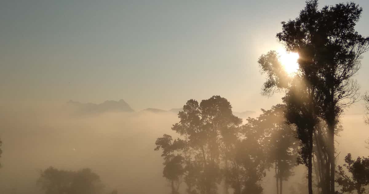 Calor extremo e umidade crítica afetam mais de 1300 municípios brasileiros, elevando riscos à saúde e incêndios florestais