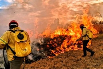 "Projeto SemFogo-DF II utiliza inteligência artificial para monitorar incêndios no Cerrado em tempo real"
