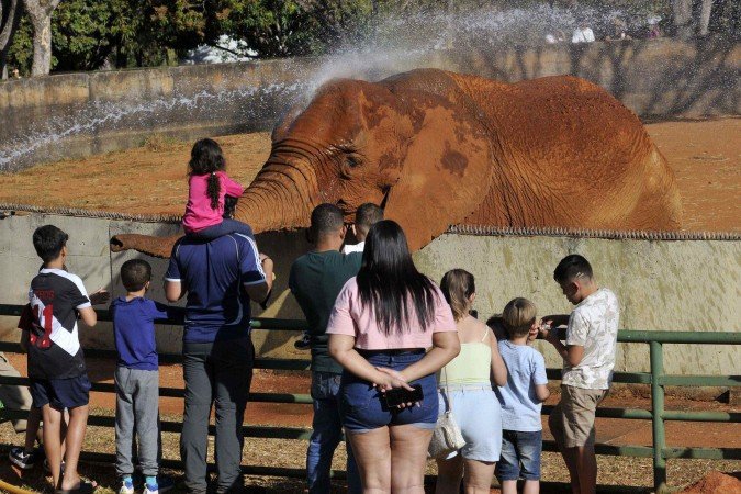 Zoológico de Brasília oferece programação gratuita e novas atrações para famílias nas férias de julho