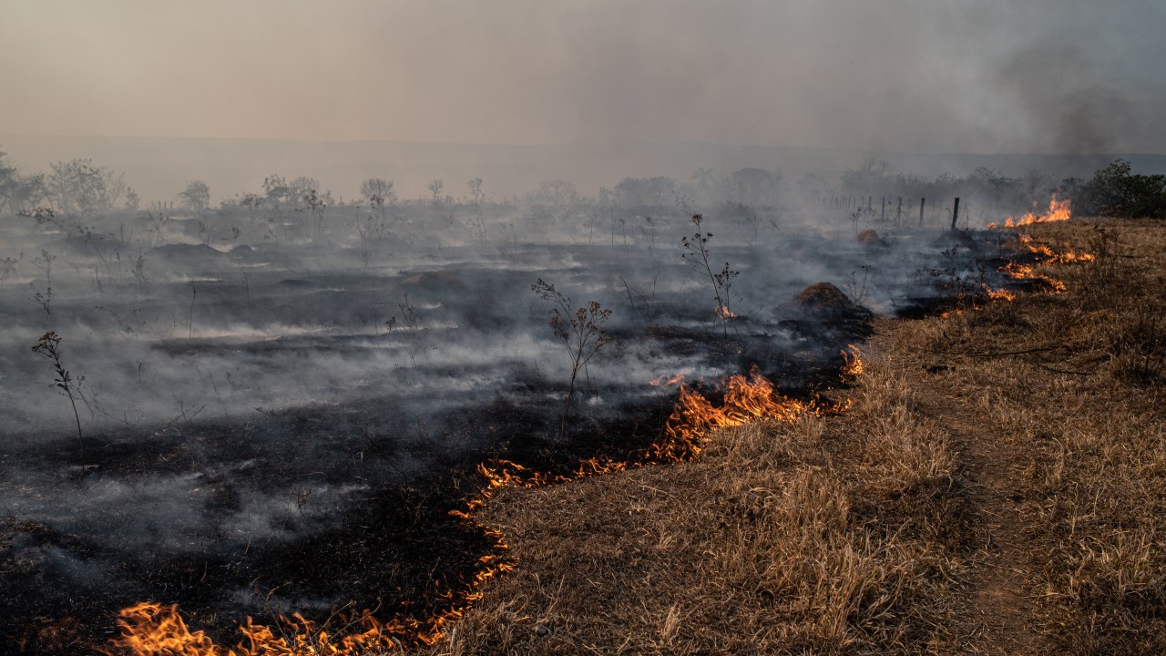 Tribunal Internacional de Justiça afirma que inação climática é violação do direito internacional