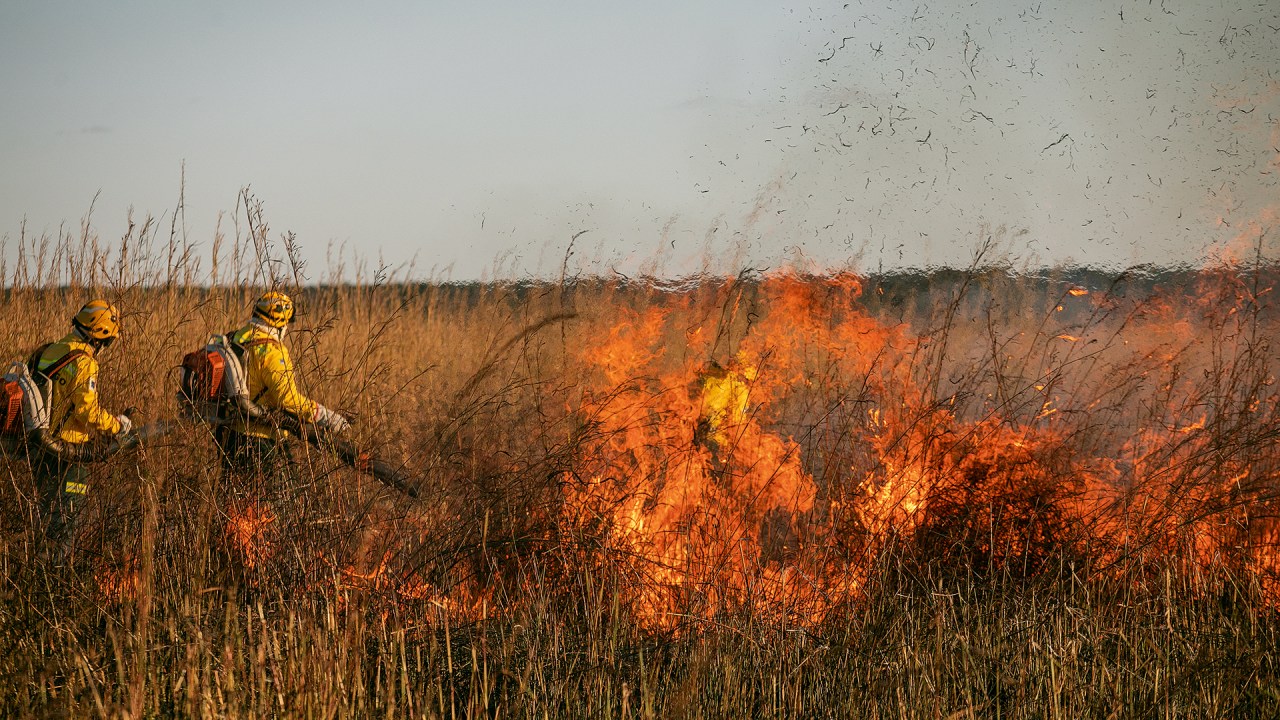 Brigadistas indígenas e quilombolas recebem treinamento em pilotagem de drones para combater incêndios florestais