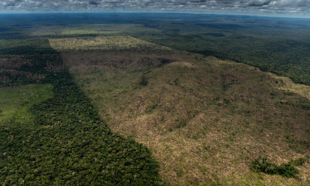 Projeto de Lei do Licenciamento é aprovado e gera preocupações sobre retrocesso ambiental no Brasil