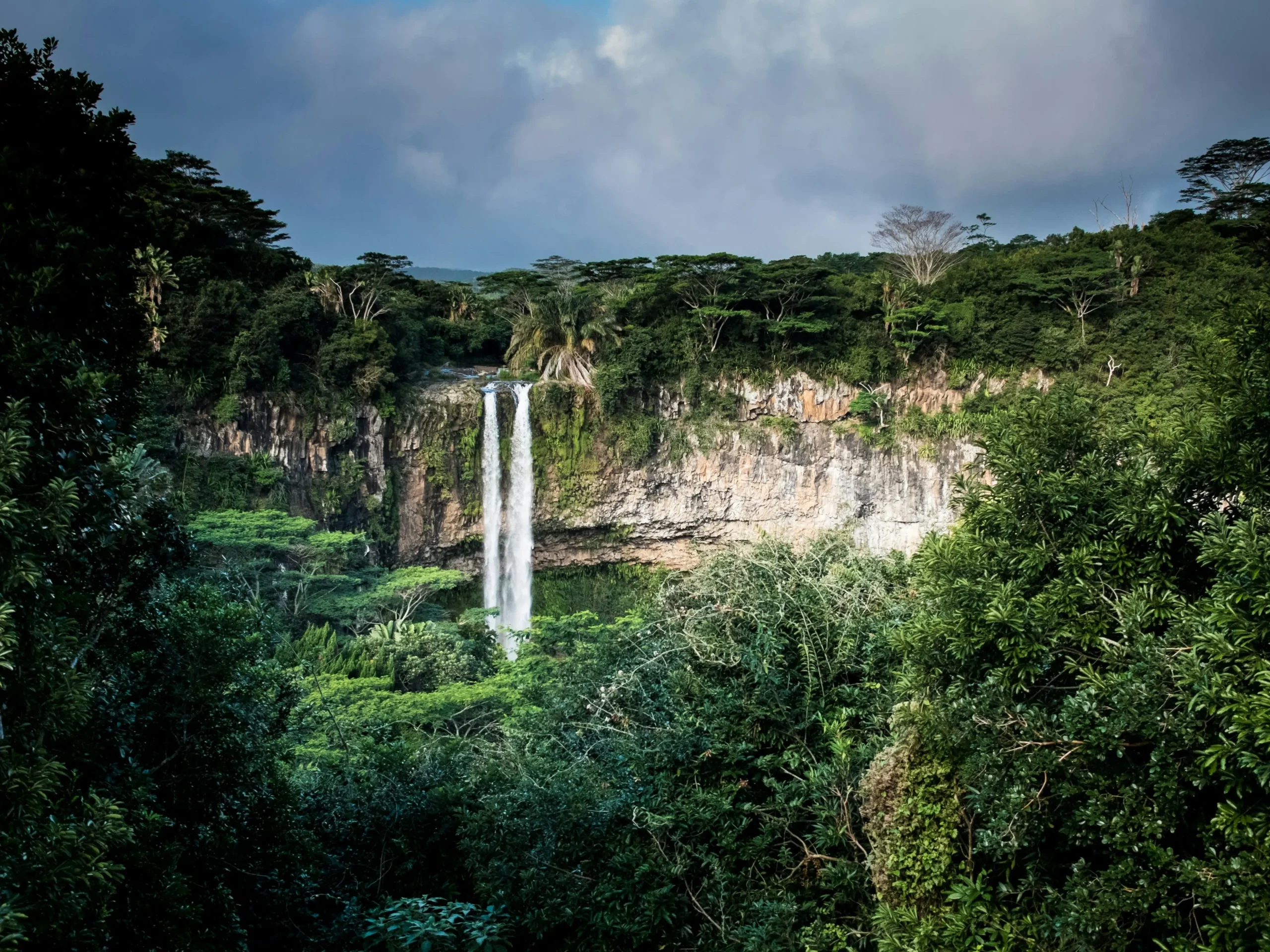 Música eletrônica se une à natureza em nova gravadora que destina parte da receita à conservação ambiental