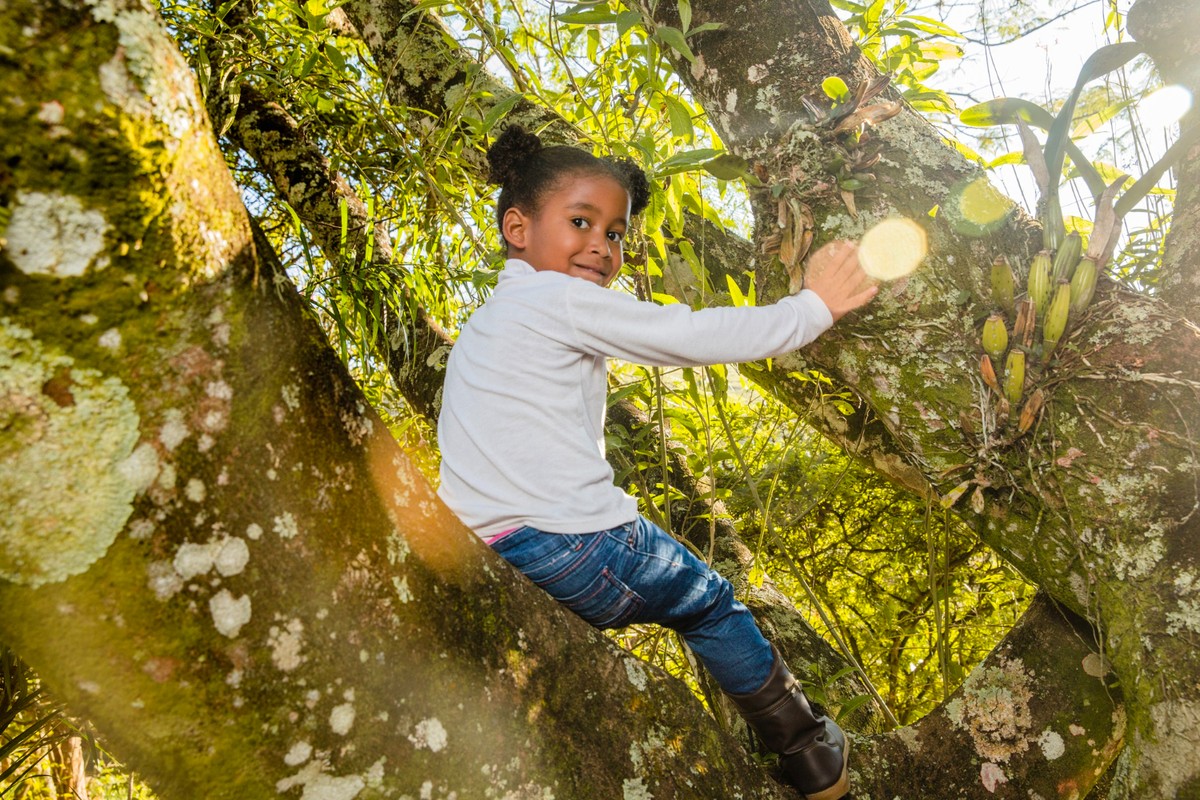 Natureza é o remédio gratuito que transforma a saúde e o bem-estar das crianças e da sociedade
