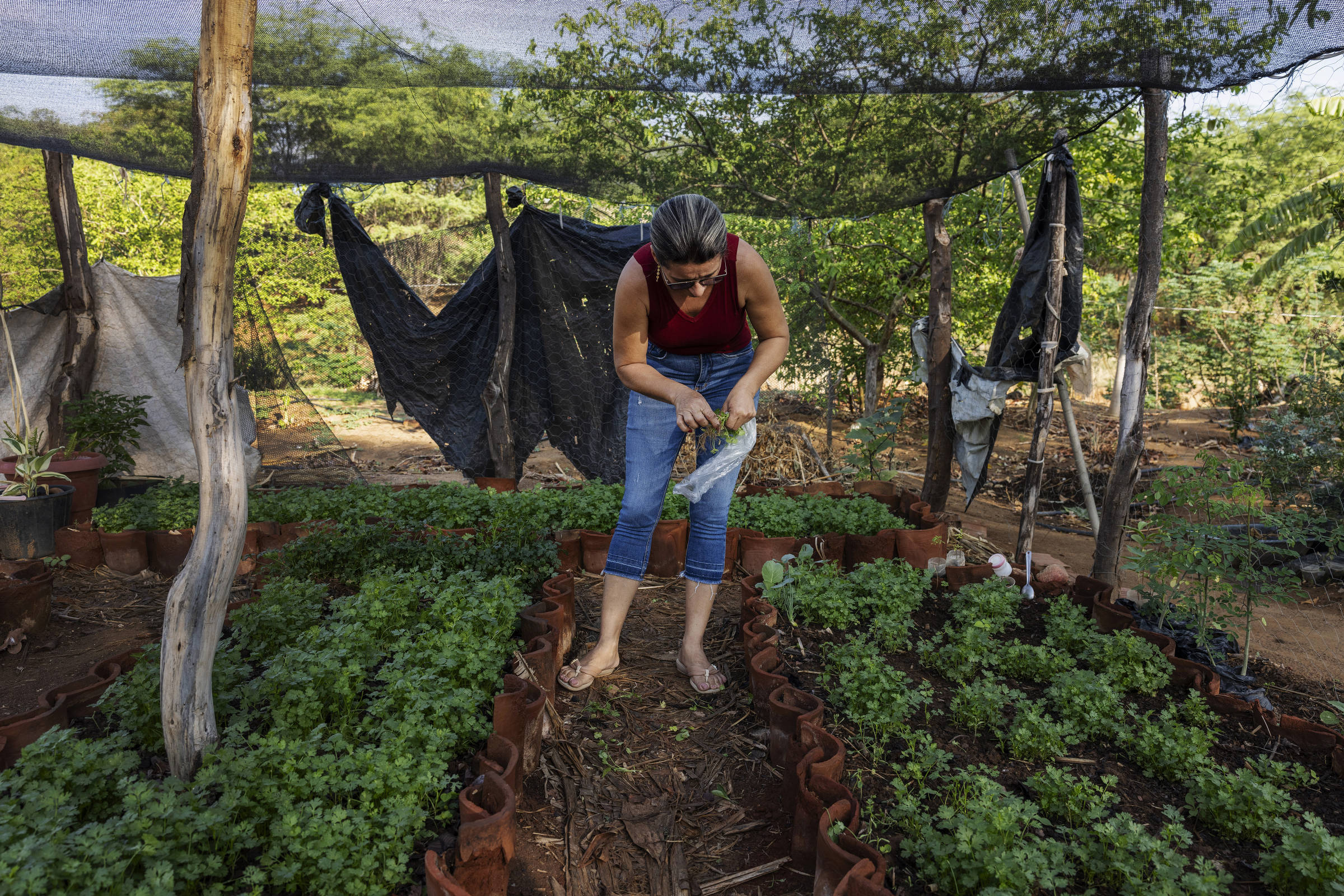 Tecnologia e crédito se unem para fortalecer a inclusão do pequeno agricultor na cadeia produtiva brasileira