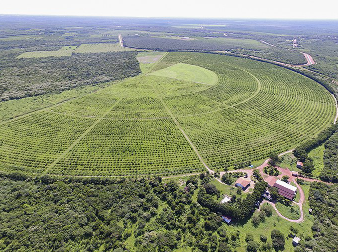 Governo federal amplia polos de irrigação e fortalece a agricultura no Brasil com foco no desenvolvimento regional