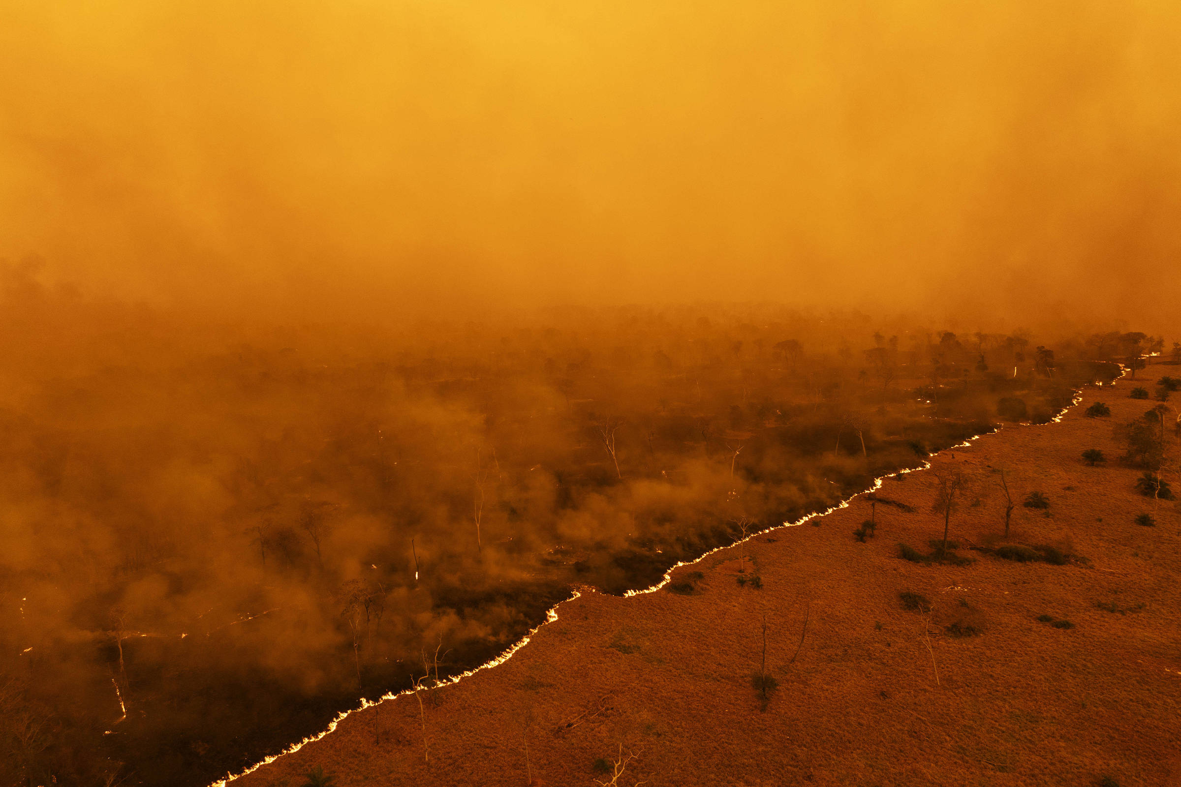 Pantanal renasce após incêndios devastadores com parcerias e iniciativas de conservação sustentáveis