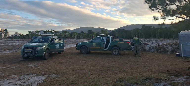 Ibama identifica desmatamento de cinco mil hectares em Campos de Altitude para monoculturas de Pinus