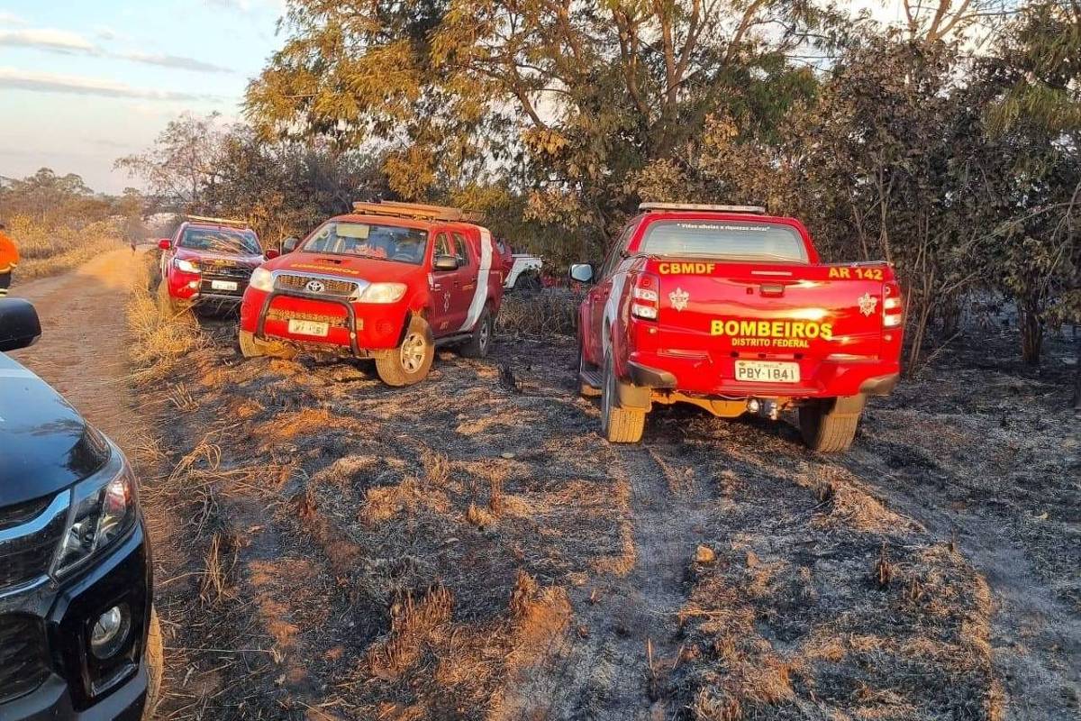 Dois servidores do IBGE perdem a vida ao combater incêndio em Brasília, gerando luto de três dias na instituição