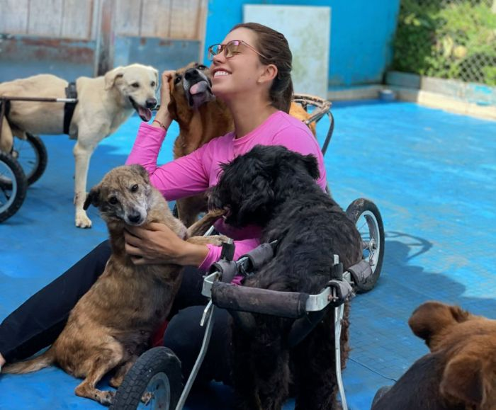 Refugio Huellas de Amor transforma vidas de animais abandonados em Pereira com amor e dedicação