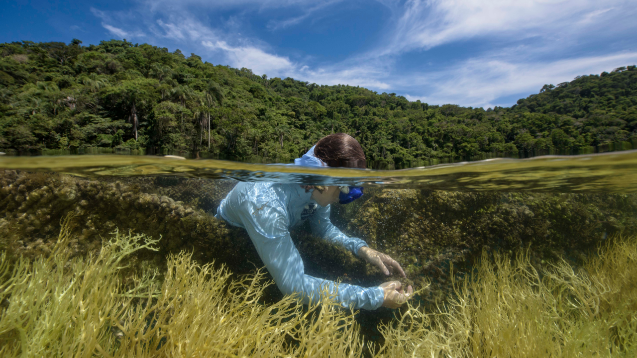 PRIO lança Instituto PRIO para ampliar impacto socioambiental e fortalecer comunidades no Rio de Janeiro