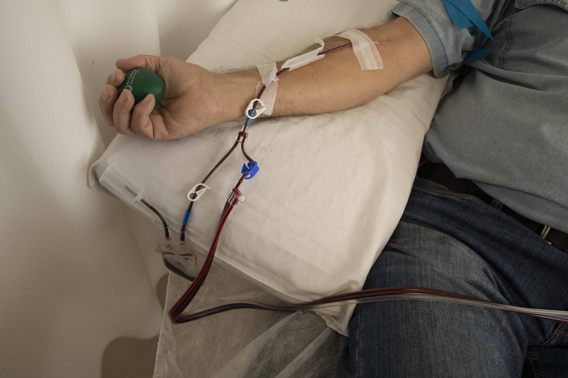 Fiocruz e Hemobrás firmam parceria para desenvolver teste nacional que detecta hepatite A e Parvovírus B19